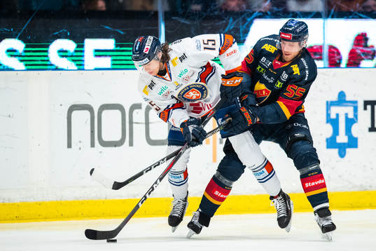 Bläddra bland fler bilder av Ishockey, SHL, Djurgården - Växjö