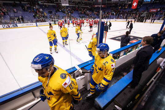 David Gustafsson and Erik Brännström of Sweden look