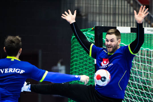 Målvakt Andreas Palicka