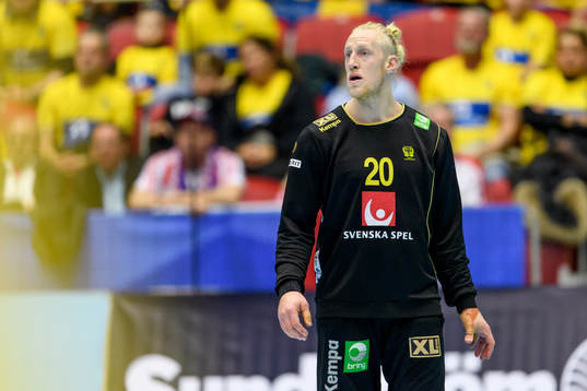 Sveriges målvakt Mikael Appelgren