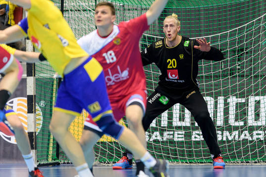 Sveriges målvakt Mikael Appelgren