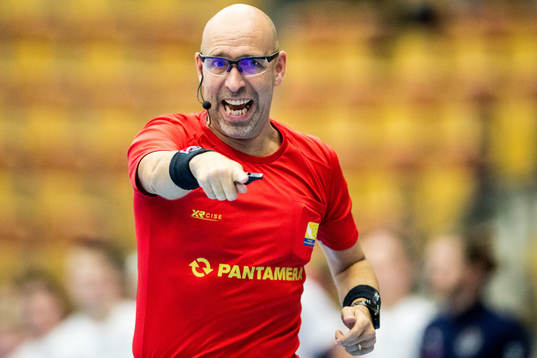 Domare Håkan Söderman