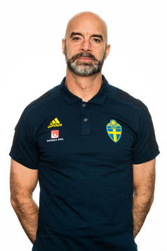 Domare Stefan Johannesson