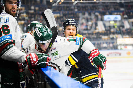s Mikko Lehtonen