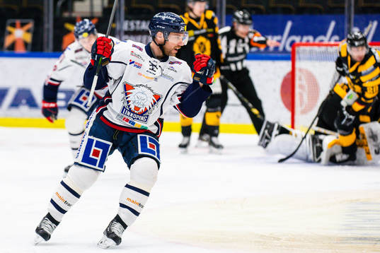 Linköpings Derek Roy jublar