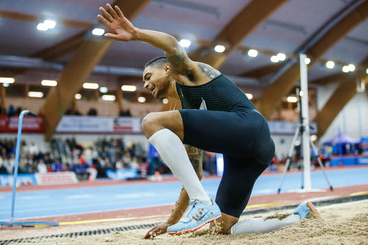Michel Torneus