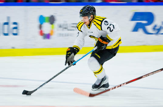 Brynäs Emil Forslund