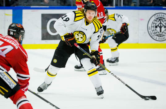 Brynäs Ludvig Nilsson