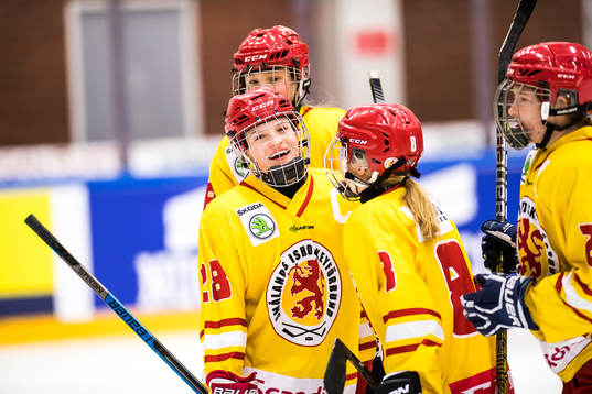 Bläddra bland fler bilder av Ishockey, Stålbucklan, Bronsmatch, Småland - Skåne/Blekinge