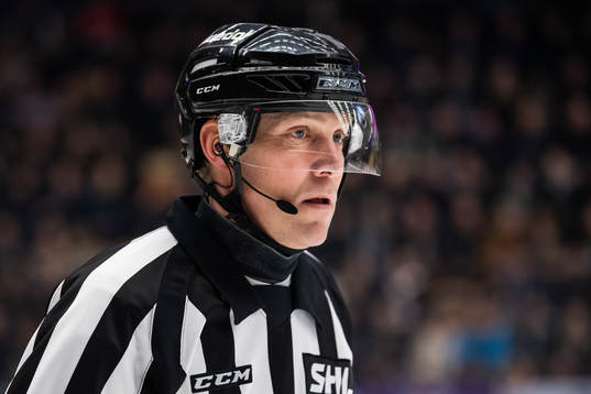 Domare Morgan Johansson