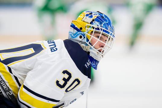s målvakt Hugo Alnefelt