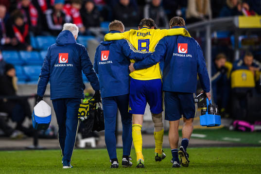 Albin Ekdal of Sweden leaves the pitch
