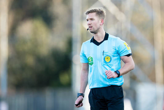 Domare Fredrik Hansson