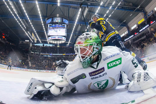 s David Gustafsson jublar