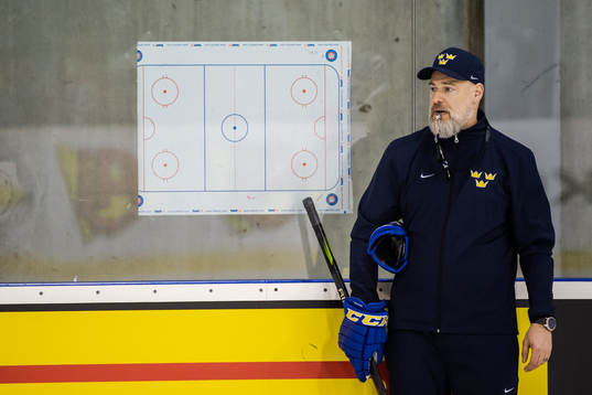 Head coach Rikard Grönborg of Sweden at a practice session