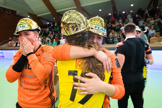 Sävehofs spelare jublar