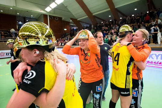 Sävehofs spelare jublar