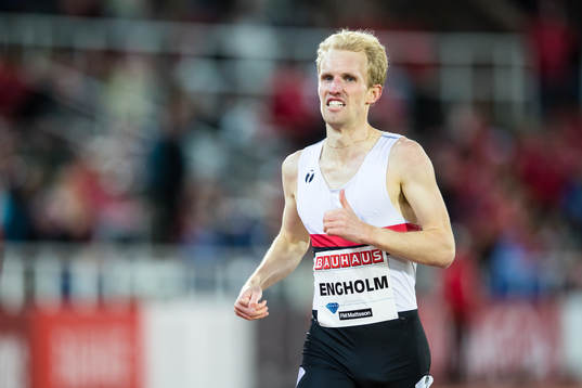 Elmar Engholm of Sweden