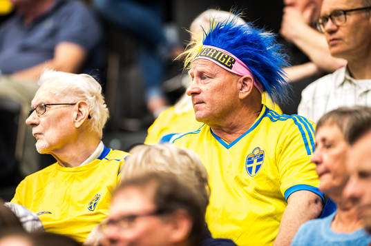 spectators in the stands