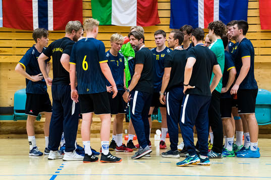 Sveriges förbundskapten Tomas Axnér