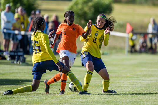 Bläddra bland fler bilder av Fotboll, Landskamp, F16, Sverige - Nederländerna
