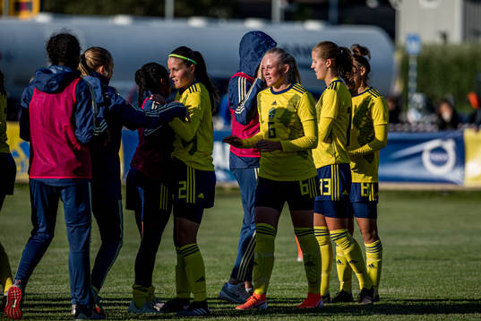 Sveriges spelare  jublar fter matchen