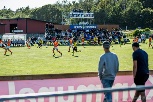 Sverige med anfall