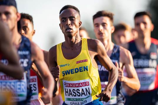 Suldan Hassan of Sweden