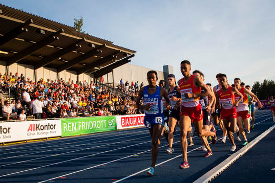 Runners at the 5000m