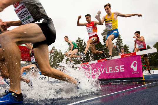 Leo Magnusson of Sweden