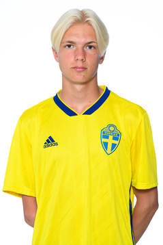 David Parkner i P15-landslaget