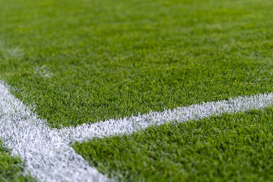 Gräsmatta före fotbollsmatchen i Allsvenskan mellan