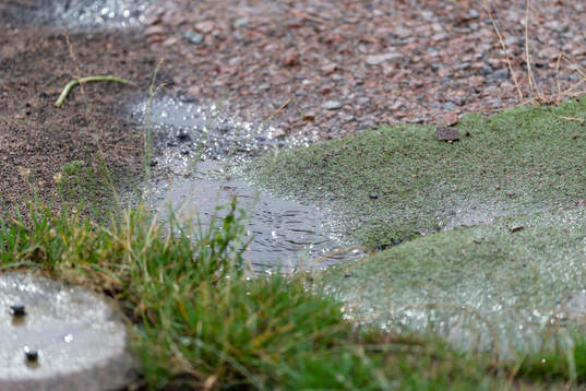 Regn före fotbollsmatchen i Superettan mellan Halmstad och