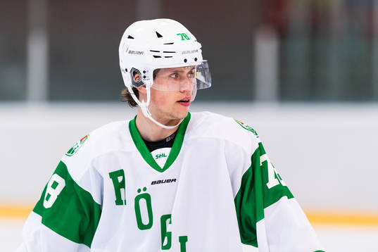 Rögles Dominik Bokk