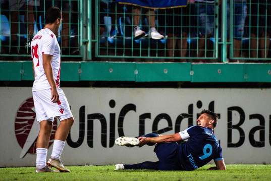 Markus Rosenberg of Malmö FF in pain
