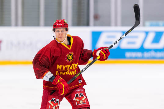 Langnaus Harri Pesonen