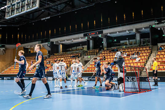 Helsingborgs spelare jublar