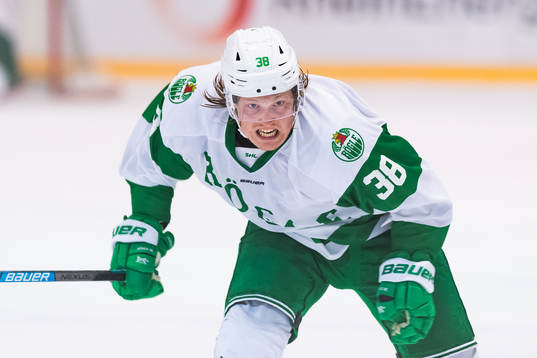 Rögles Erik Andersson