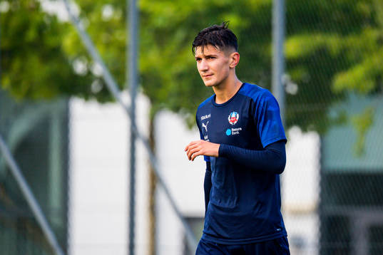 Armin Gigovic