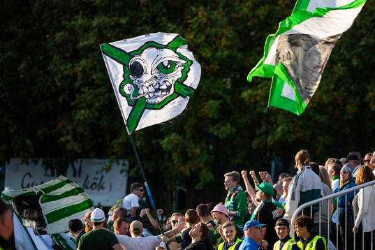 Hammarby-supportrar