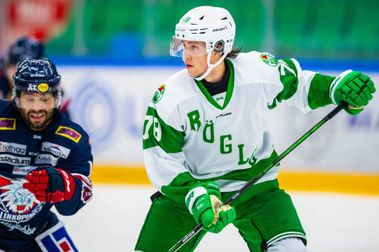 Rögles  Dominik Bokk