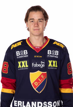 Djurgårdens Alexander Holtz