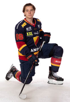 Djurgårdens Alexander Holtz