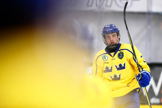 Sveriges Erik Fernhall