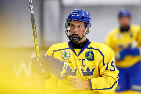 Sveriges Oskar Jellvik