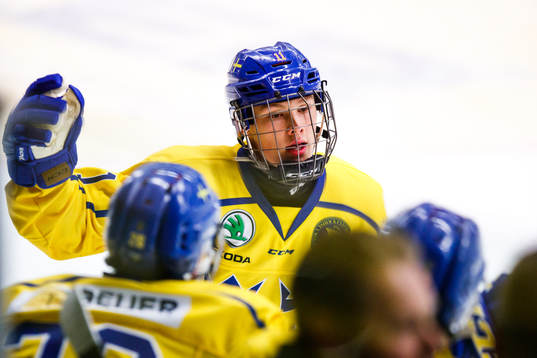 Sveriges Fabian Lysell jublar