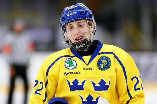 Sveriges Ludwig Persson