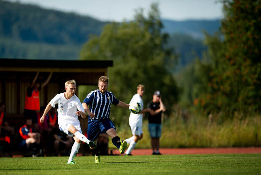 Robin Persson, Kovland
