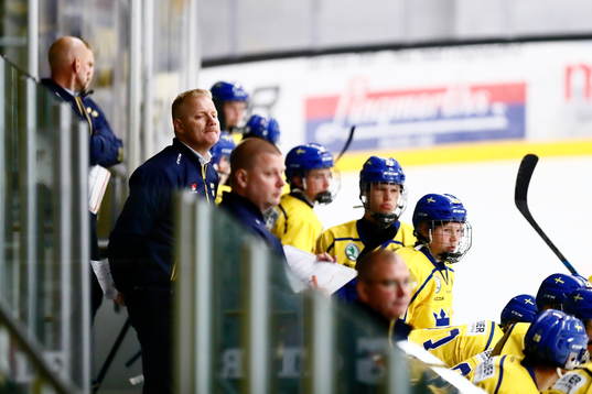 Sveriges tränare Anders Eriksén