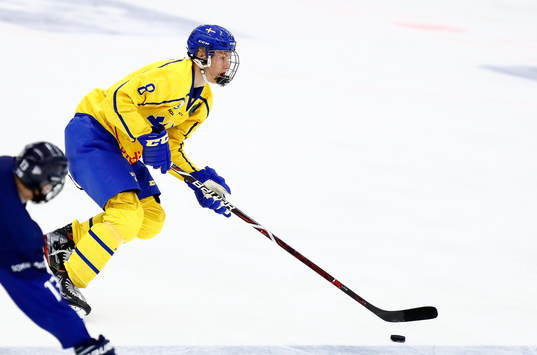 Sveriges Simon Edvinsson
